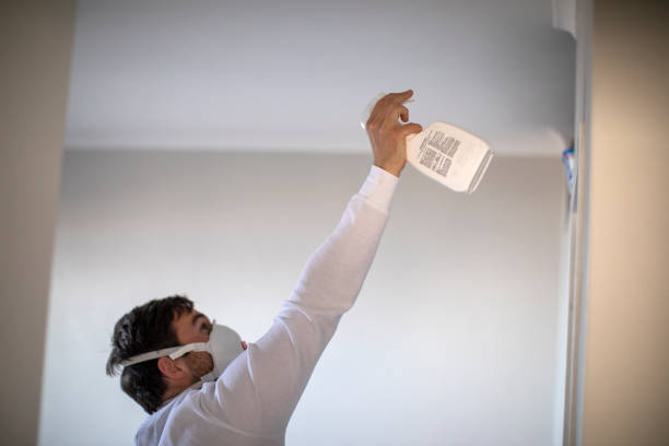 Best Black Mold Remediation in Oakland, MD