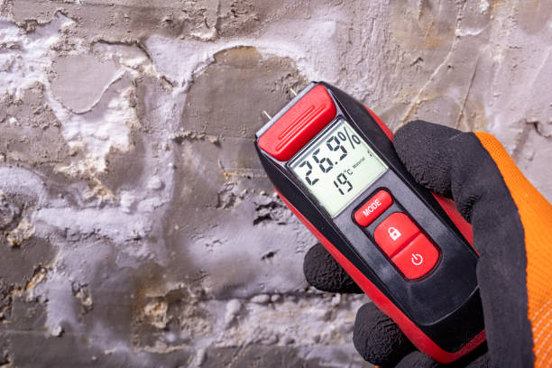 Best Commercial Mold Remediation in Oakland, MD
